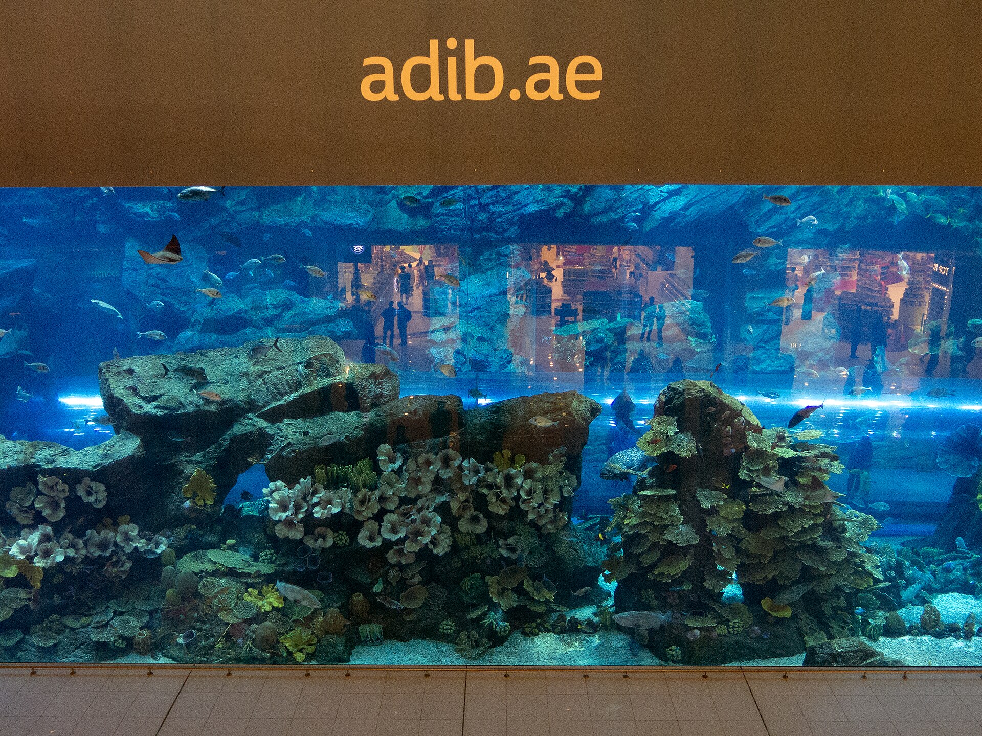 Morgan's Essay 053 - Dubai: Burj Al Arab's Al Mahara Underwater Restaurant